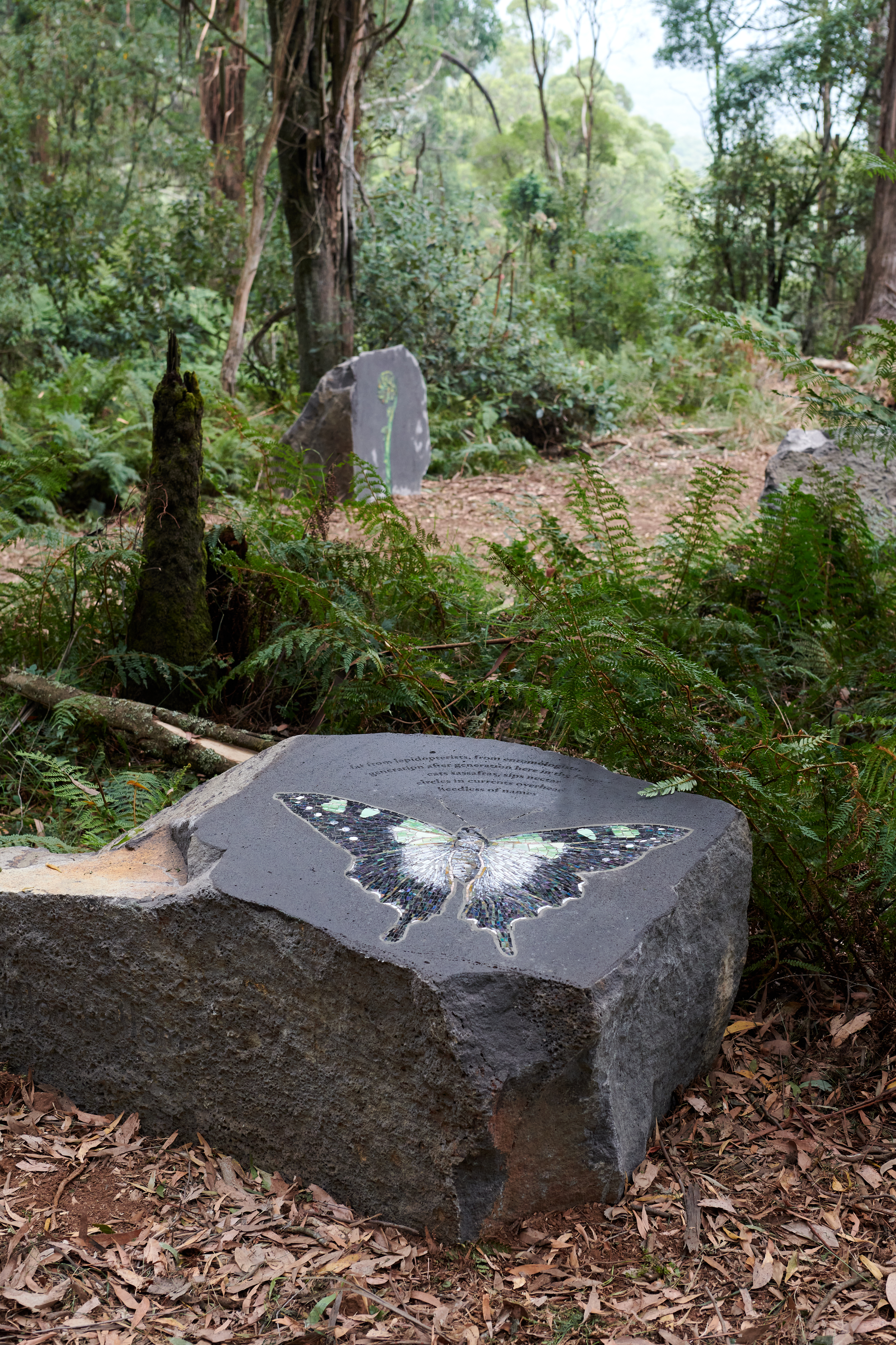 The Reveal, Doongalla